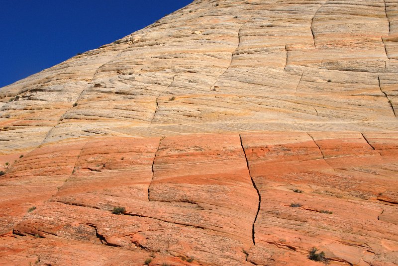 2011-07-13_Zion Canyon-Tag18_301.jpg